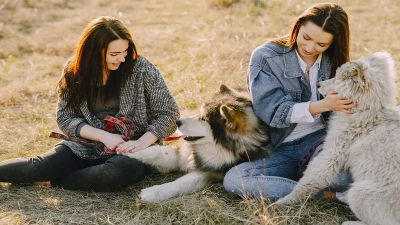 Pet Guide LWMFPets from LookWhatMomFound